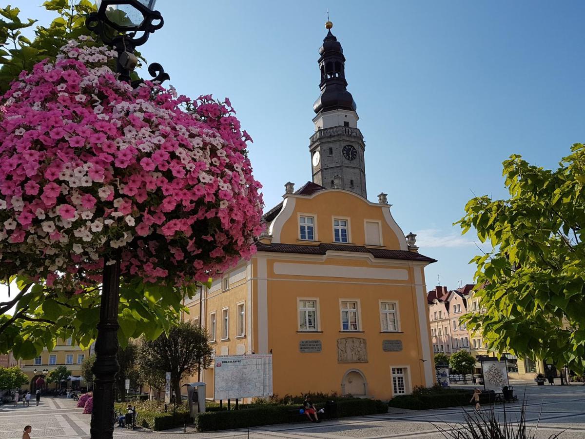 Apartament Przy Starówce - Hampton Boleslawiec  Zewnętrze zdjęcie