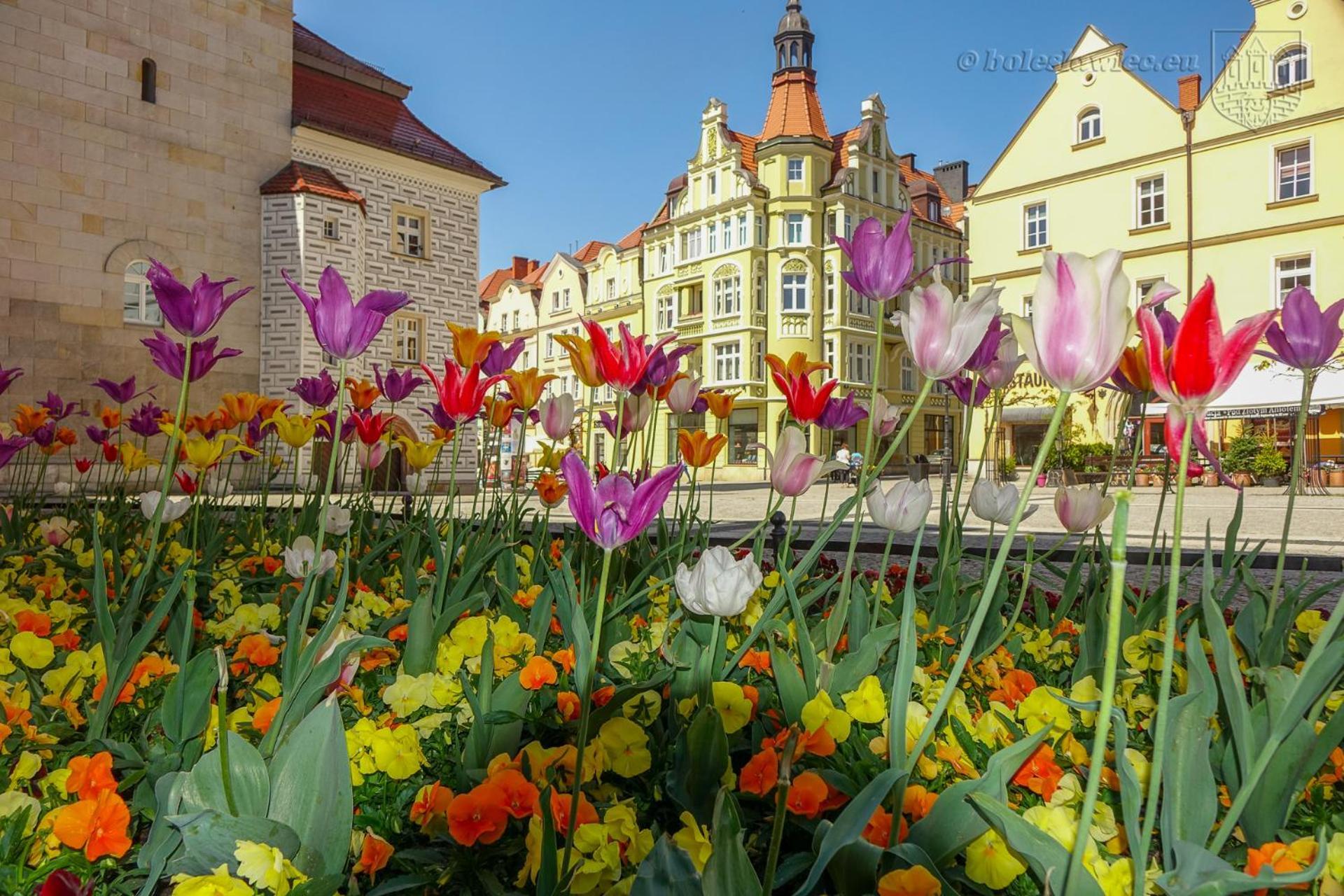 Apartament Przy Starówce - Hampton Boleslawiec  Zewnętrze zdjęcie